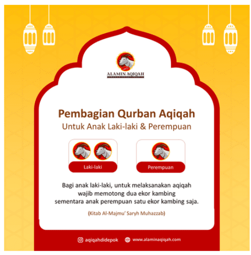 Konten Pembagian Qurban Aqiqah dengan sumber Kitab Al-Majmu' Saryh Muhazzab