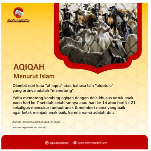 Konten edukasi Aqiqah Menurut Islam dengan sumber Kitab Fathul Qorib al-Mujib