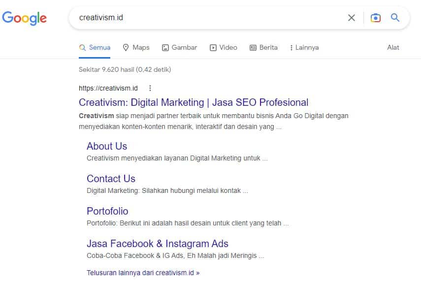 Apa itu SERP Google dan Fungsinya