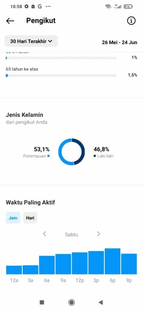 Cara Membaca Data Insight Instagram