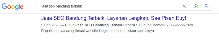 Contoh Hasil Optimasi Metode Local SEO