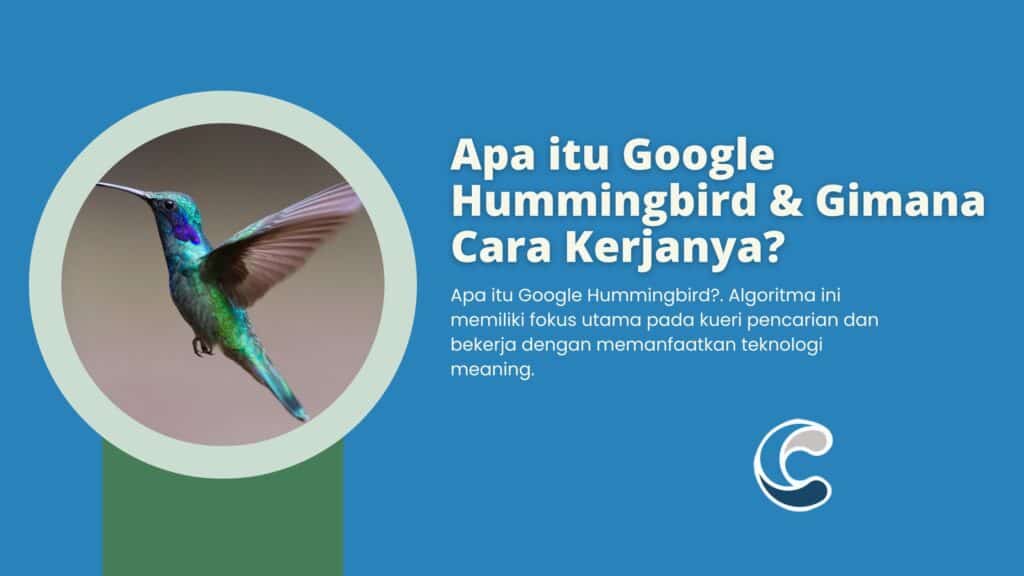 Apa itu Google Hummingbird & Gimana Cara Kerjanya