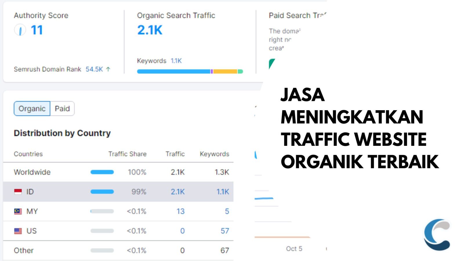 Jasa Meningkatkan Traffic Website Organik Terbaik