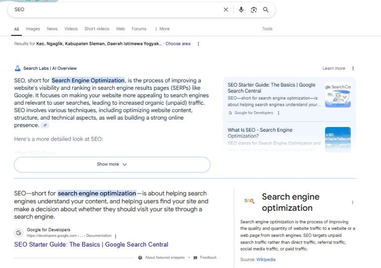 Apa itu Google Knowledge Panel, Manfaat dan Cara Mendapatkannya