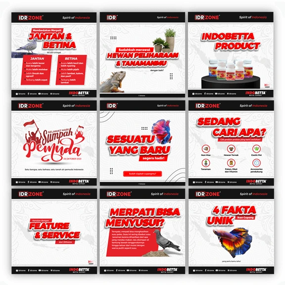 Jasa Social Media IDR Zone: Strategi Konten Kreatif untuk Produk Perawatan Hewan Peliharaan