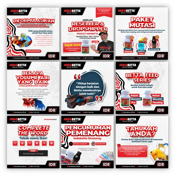 Portfolio Jasa Kelola Instagram Suplemen Ikan Cupang: Indobetta